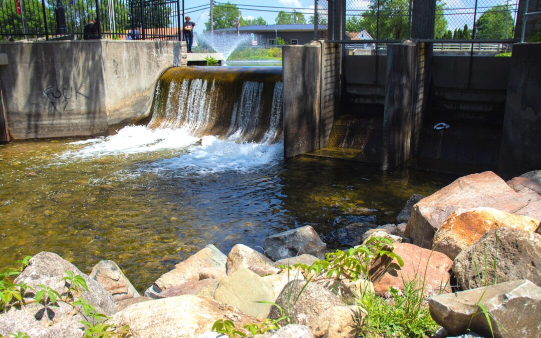 GovWeb Client Spotlight: Turkey Creek Dam and Dike Conservancy District